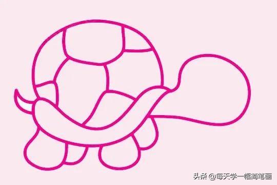 每天学一幅简笔画--简单的乌龟简笔画画法步骤教程及图片大全-5.jpg