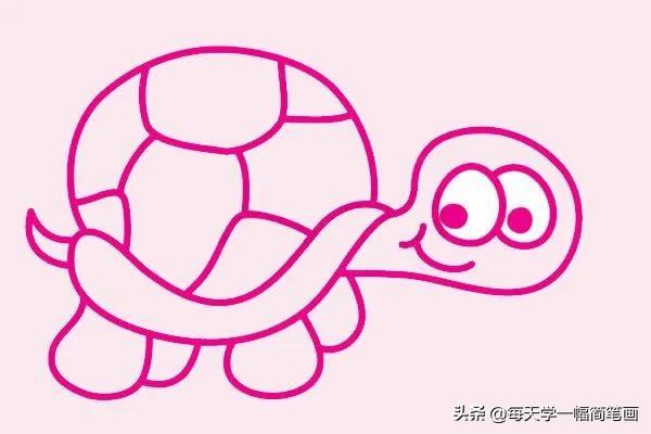 每天学一幅简笔画--简单的乌龟简笔画画法步骤教程及图片大全-6.jpg
