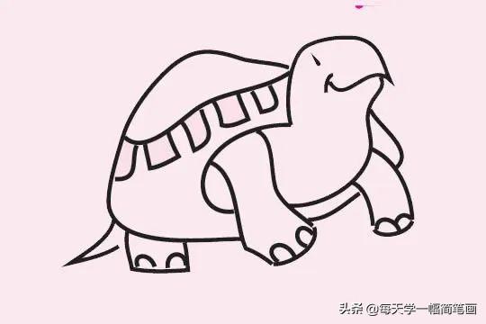 每天学一幅简笔画--简单的乌龟简笔画画法步骤教程及图片大全-11.jpg