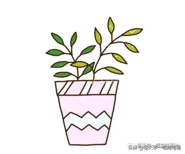 每天学一幅简笔画--漂亮的盆栽简笔画步骤教程-4.jpg