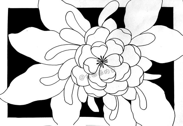 简笔画花卉，线条虽然简单成品却很美，一起来画吧-6.jpg