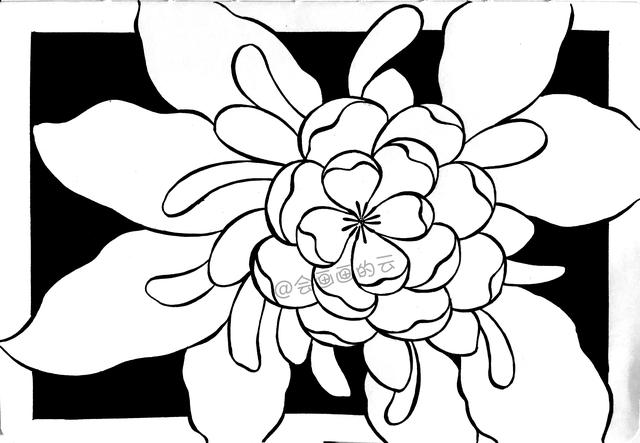 简笔画花卉，线条虽然简单成品却很美，一起来画吧-7.jpg