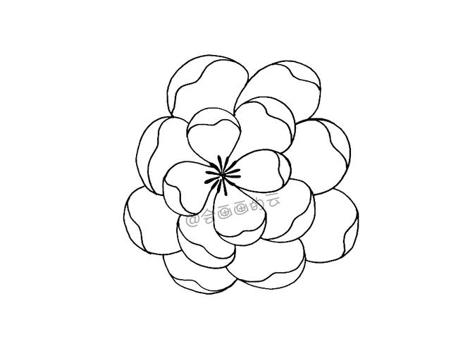 简笔画花卉，线条虽然简单成品却很美，一起来画吧-4.jpg