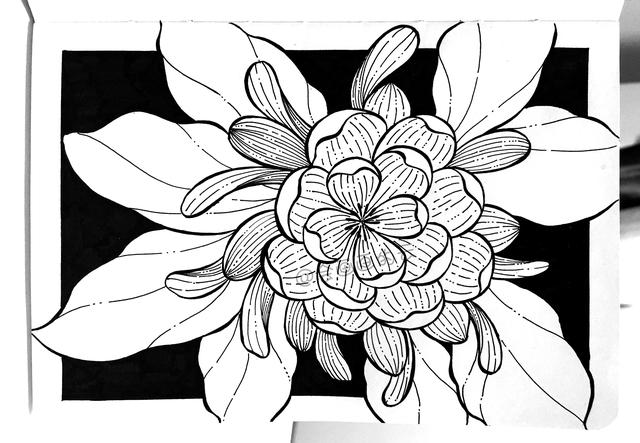 简笔画花卉，线条虽然简单成品却很美，一起来画吧-13.jpg