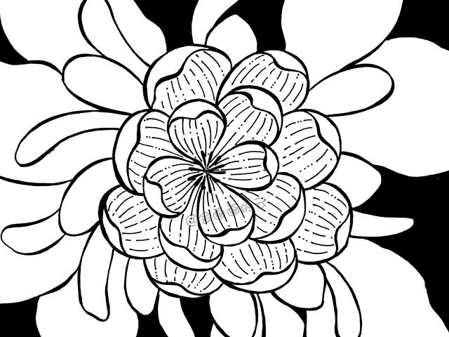 简笔画花卉，线条虽然简单成品却很美，一起来画吧-10.jpg