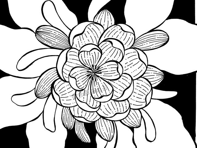 简笔画花卉，线条虽然简单成品却很美，一起来画吧-11.jpg