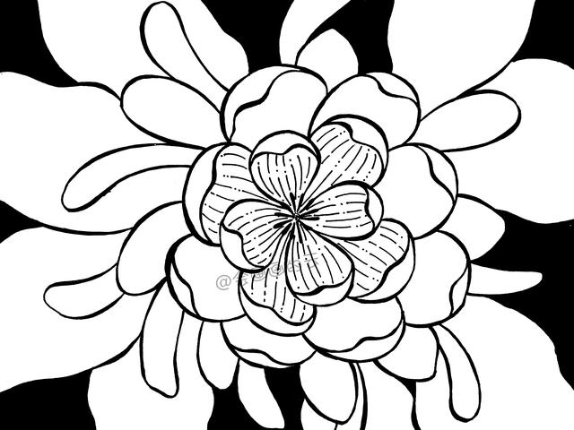 简笔画花卉，线条虽然简单成品却很美，一起来画吧-9.jpg