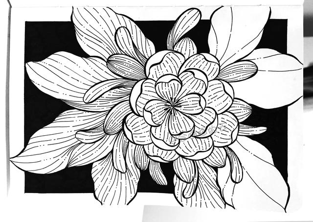 简笔画花卉，线条虽然简单成品却很美，一起来画吧-15.jpg