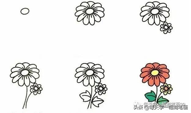 每天学一幅简笔画--19种植物简笔画小教程-6.jpg