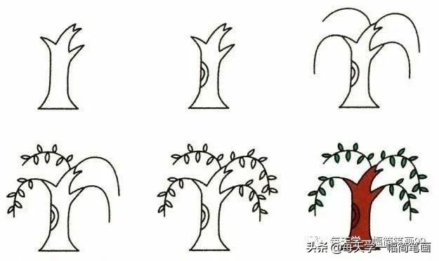 每天学一幅简笔画--19种植物简笔画小教程-7.jpg