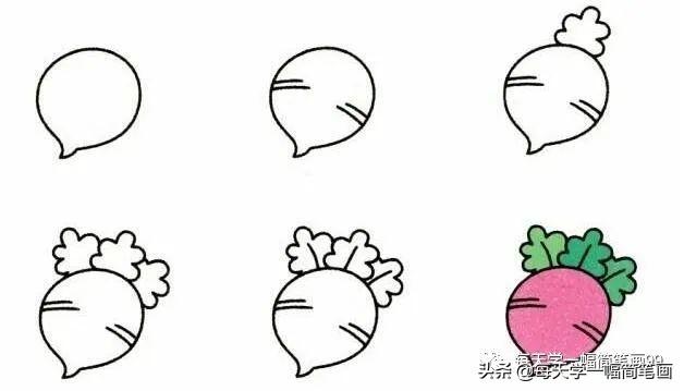 每天学一幅简笔画--19种植物简笔画小教程-4.jpg