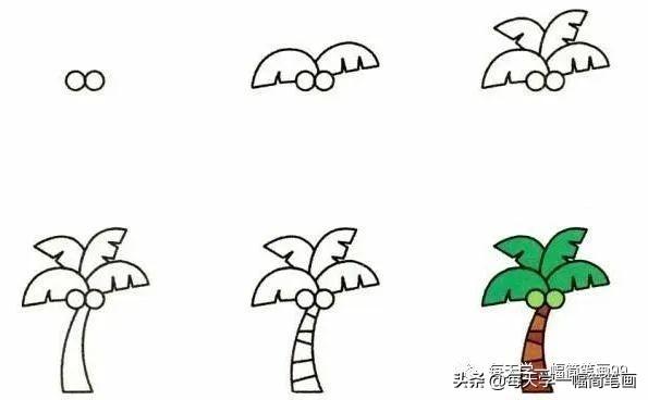 每天学一幅简笔画--19种植物简笔画小教程-9.jpg