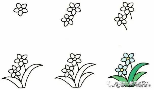 每天学一幅简笔画--19种植物简笔画小教程-5.jpg