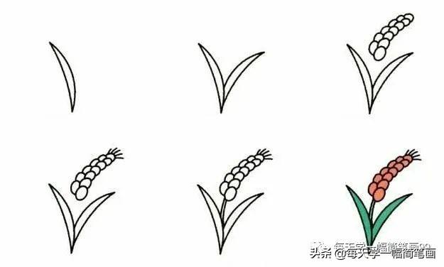 每天学一幅简笔画--19种植物简笔画小教程-8.jpg
