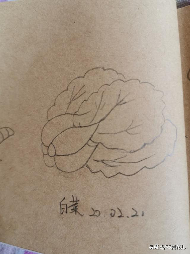 日常画一些简笔画是我的乐趣，先分享一波-15.jpg