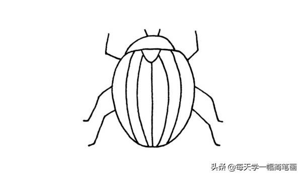每天学一幅简笔画--甲虫简笔画步骤画法及图片大全-4.jpg