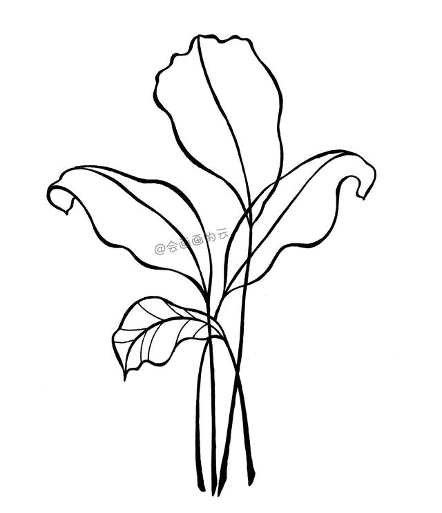 零基础也可以画的简笔画，手把手教你如何画叶子-4.jpg