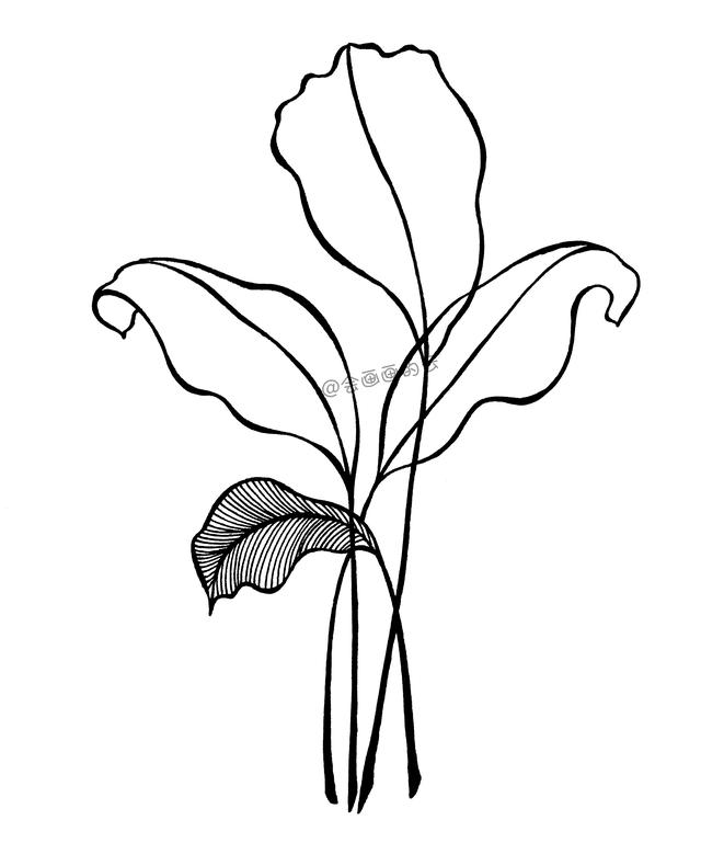 零基础也可以画的简笔画，手把手教你如何画叶子-5.jpg