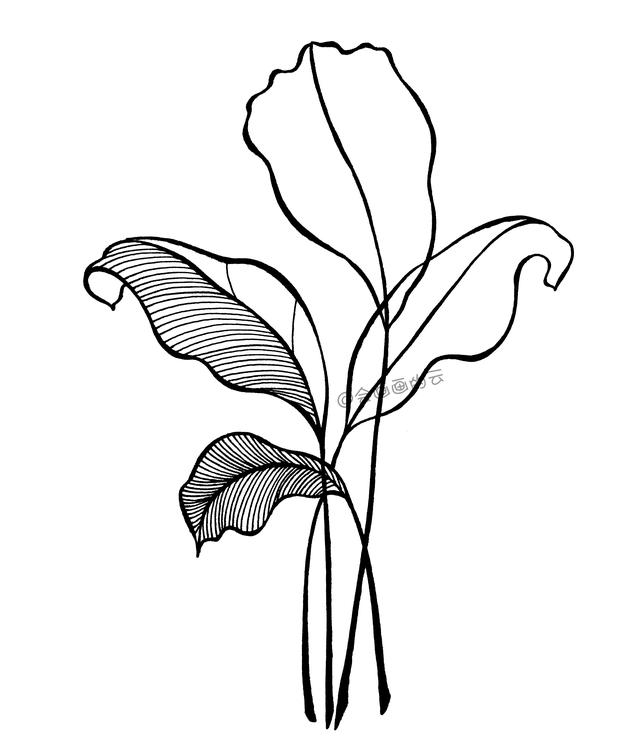 零基础也可以画的简笔画，手把手教你如何画叶子-6.jpg