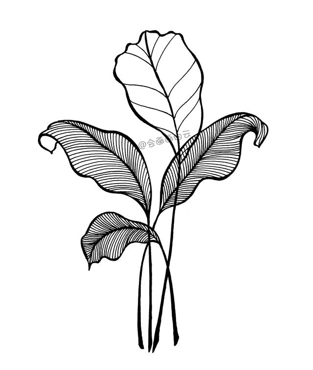 零基础也可以画的简笔画，手把手教你如何画叶子-8.jpg
