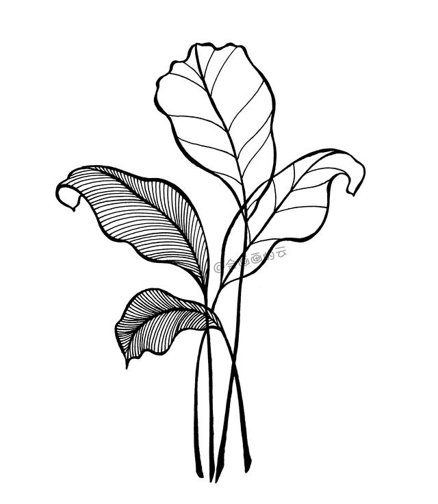 零基础也可以画的简笔画，手把手教你如何画叶子-7.jpg