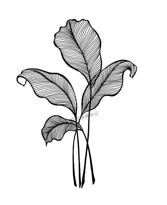 零基础也可以画的简笔画，手把手教你如何画叶子-9.jpg