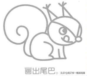 每天学一幅简笔画--动物简笔画之松鼠的画法步骤-8.jpg