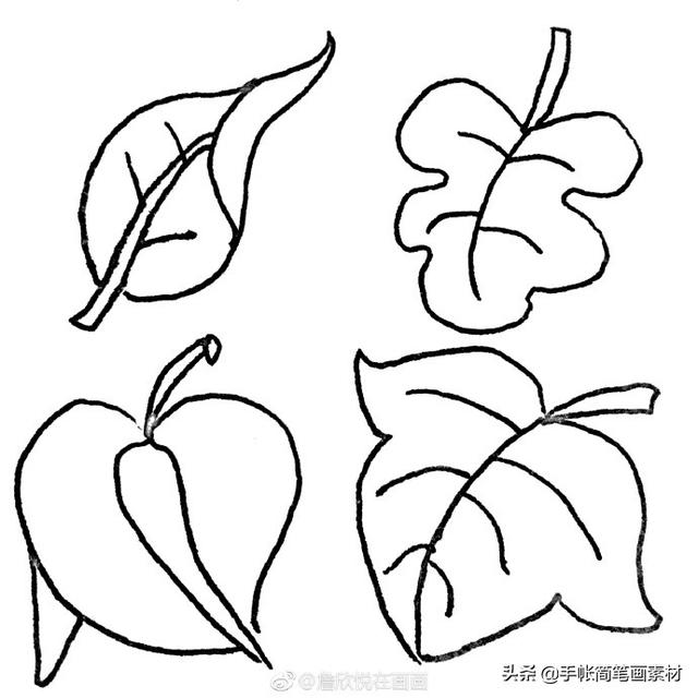 36种叶子的简笔画素材~值得收藏-4.jpg