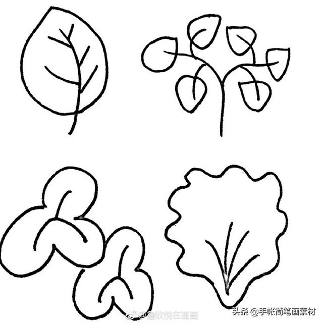 36种叶子的简笔画素材~值得收藏-5.jpg
