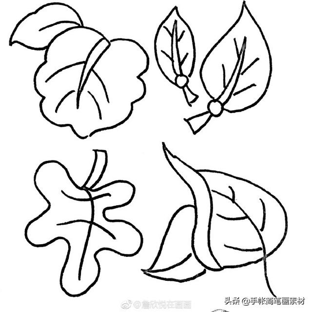 36种叶子的简笔画素材~值得收藏-6.jpg