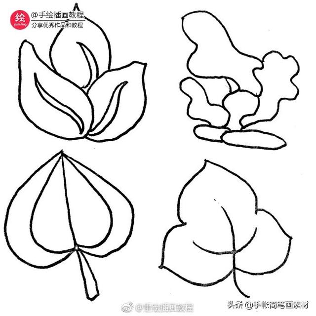 36种叶子的简笔画素材~值得收藏-9.jpg