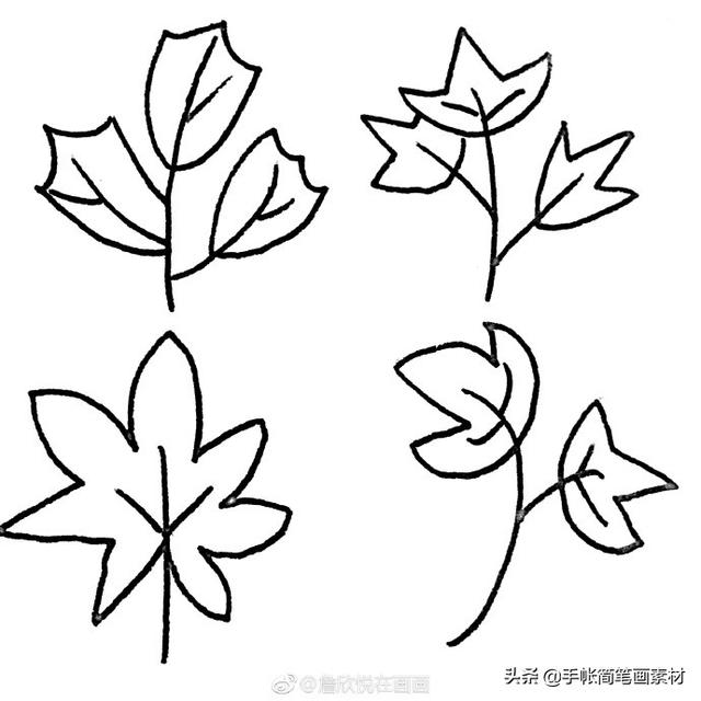 36种叶子的简笔画素材~值得收藏-8.jpg