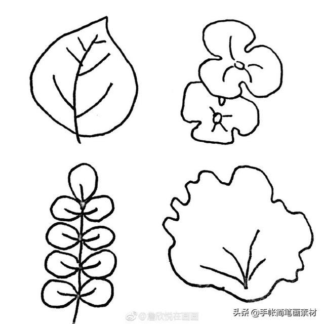 36种叶子的简笔画素材~值得收藏-7.jpg