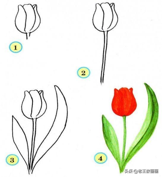 简笔画教程合集，适合孩子临摹创作的教程-11.jpg