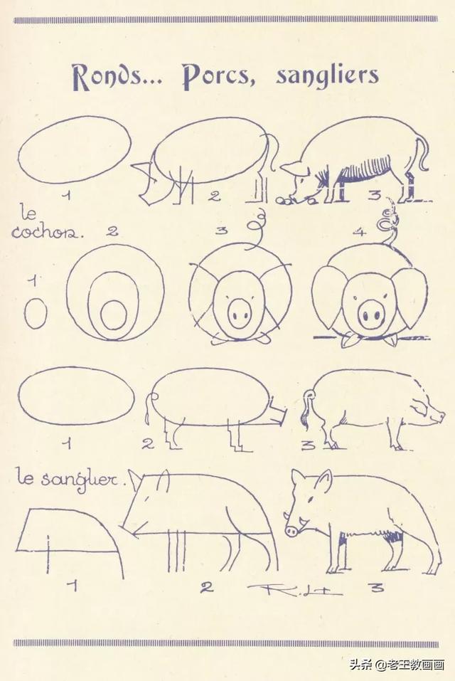 2000个超详细简笔画教程，珍藏版-10.jpg