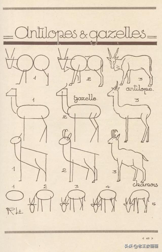 2000个超详细简笔画教程，珍藏版-21.jpg