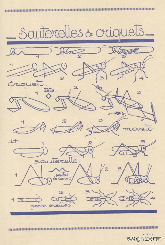 2000个超详细简笔画教程，珍藏版-30.jpg