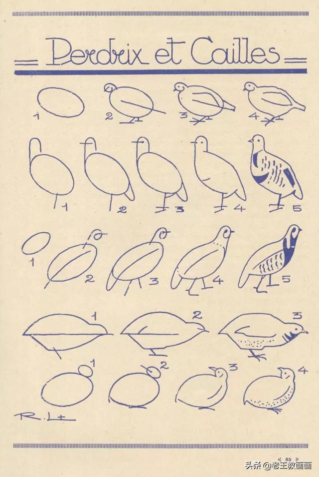 2000个超详细简笔画教程，珍藏版-42.jpg