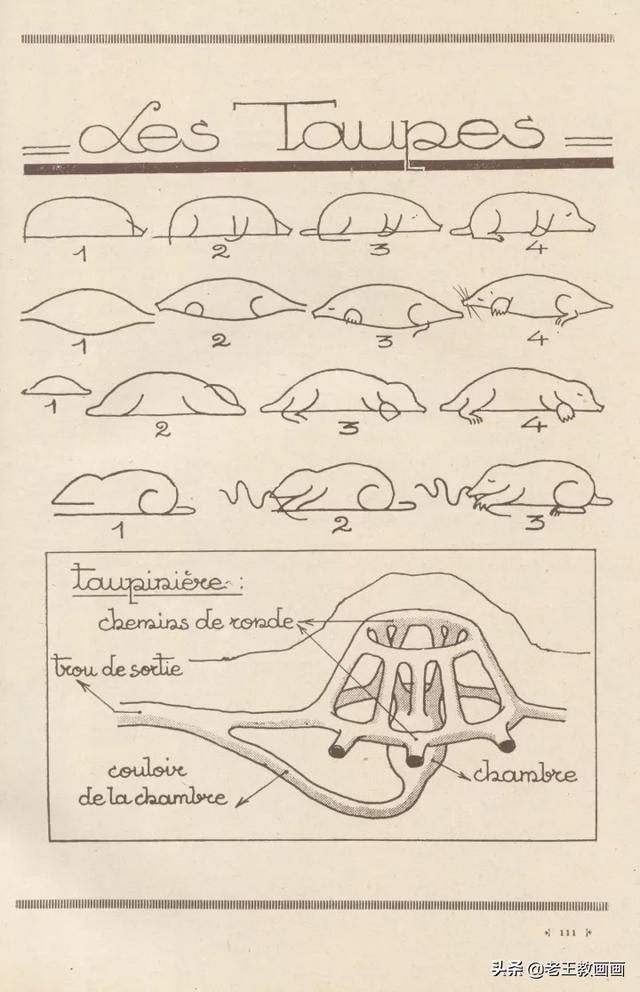 2000个超详细简笔画教程，珍藏版-55.jpg
