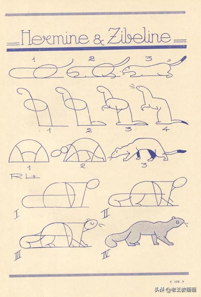 2000个超详细简笔画教程，珍藏版-62.jpg