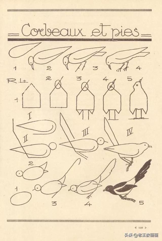 2000个超详细简笔画教程，珍藏版-67.jpg