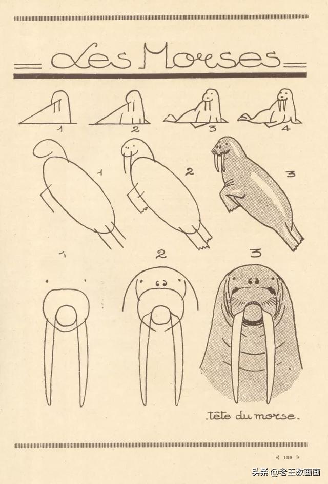 2000个超详细简笔画教程，珍藏版-79.jpg