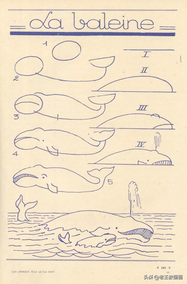 2000个超详细简笔画教程，珍藏版-80.jpg
