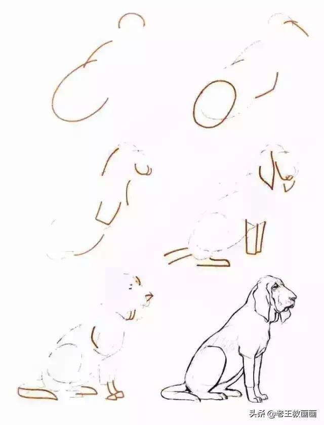 你想要的简笔画教程，都在这里-14.jpg