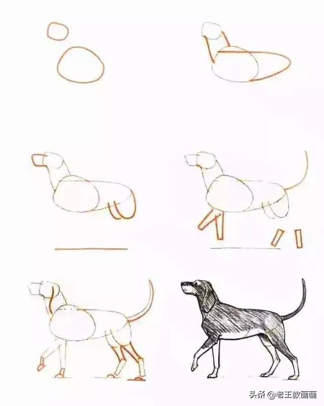 你想要的简笔画教程，都在这里-11.jpg
