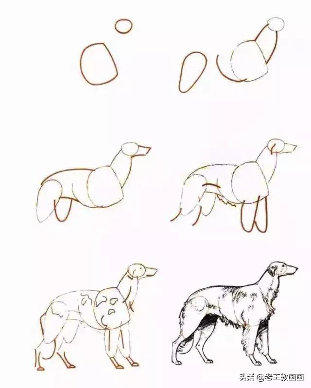 你想要的简笔画教程，都在这里-10.jpg