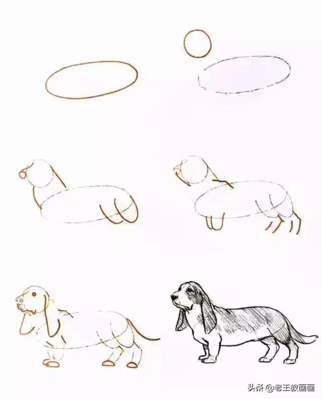 你想要的简笔画教程，都在这里-13.jpg