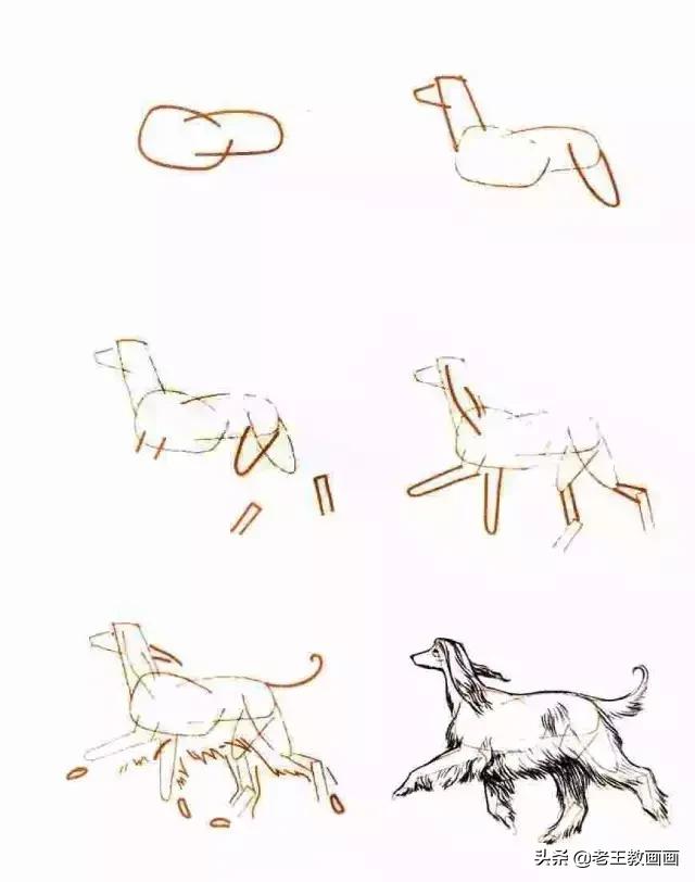 你想要的简笔画教程，都在这里-15.jpg