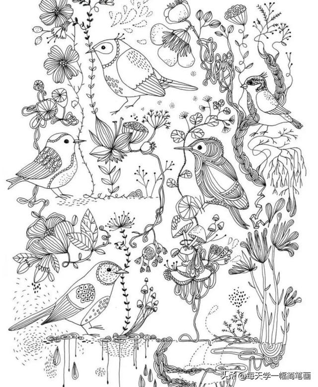 每天学一幅简笔画--鸟儿主题类线描简笔画！太精致实用了-5.jpg