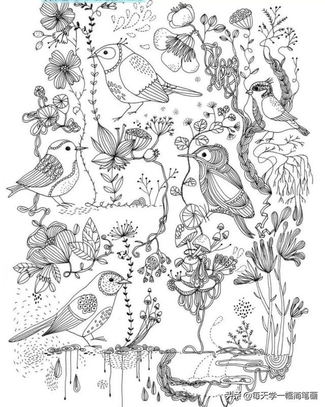 每天学一幅简笔画--鸟儿主题类线描简笔画！太精致实用了-8.jpg
